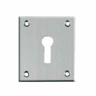 Supreme Escutcheon Large Flat Satin Aluminium
