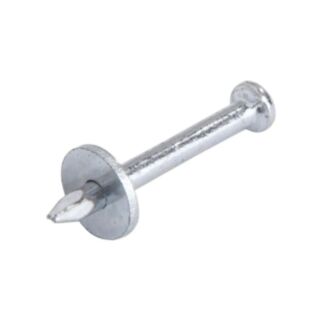 Capping Nails 2.5x30mm 100pk