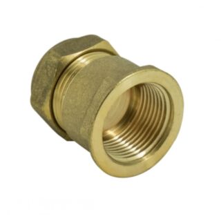 Compression To Female Iron Coupler Brass 22mm x 1