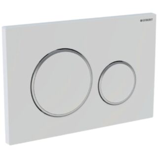 Geberit Sigma20 Dual Flush Plate Polished/Satin Chrome
