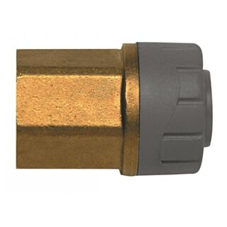 Polyplumb Push Fit To Female BSP Adaptor Brass 15mm x ½