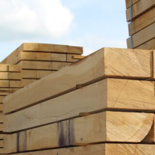 Railway Sleeper New Untreated Oak 100x200x2400mm